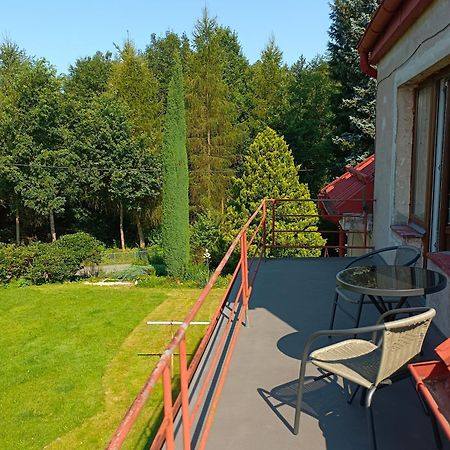 Apartman Za Lesem Červený Kostelec Exterior foto